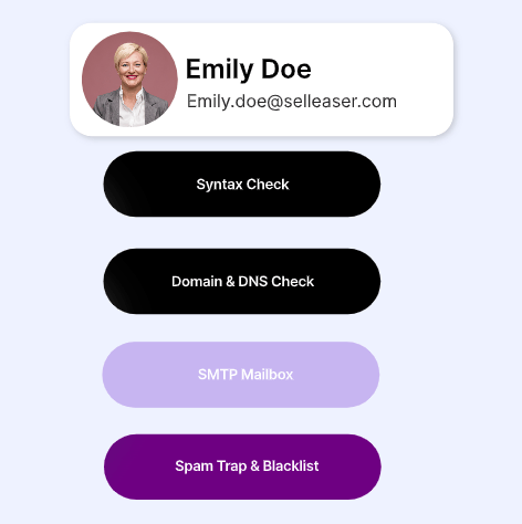 Email validation interface
